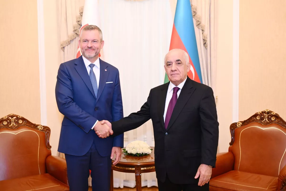 Azerbaijan, Slovakia explore new strategic partnership projects PHOTO
