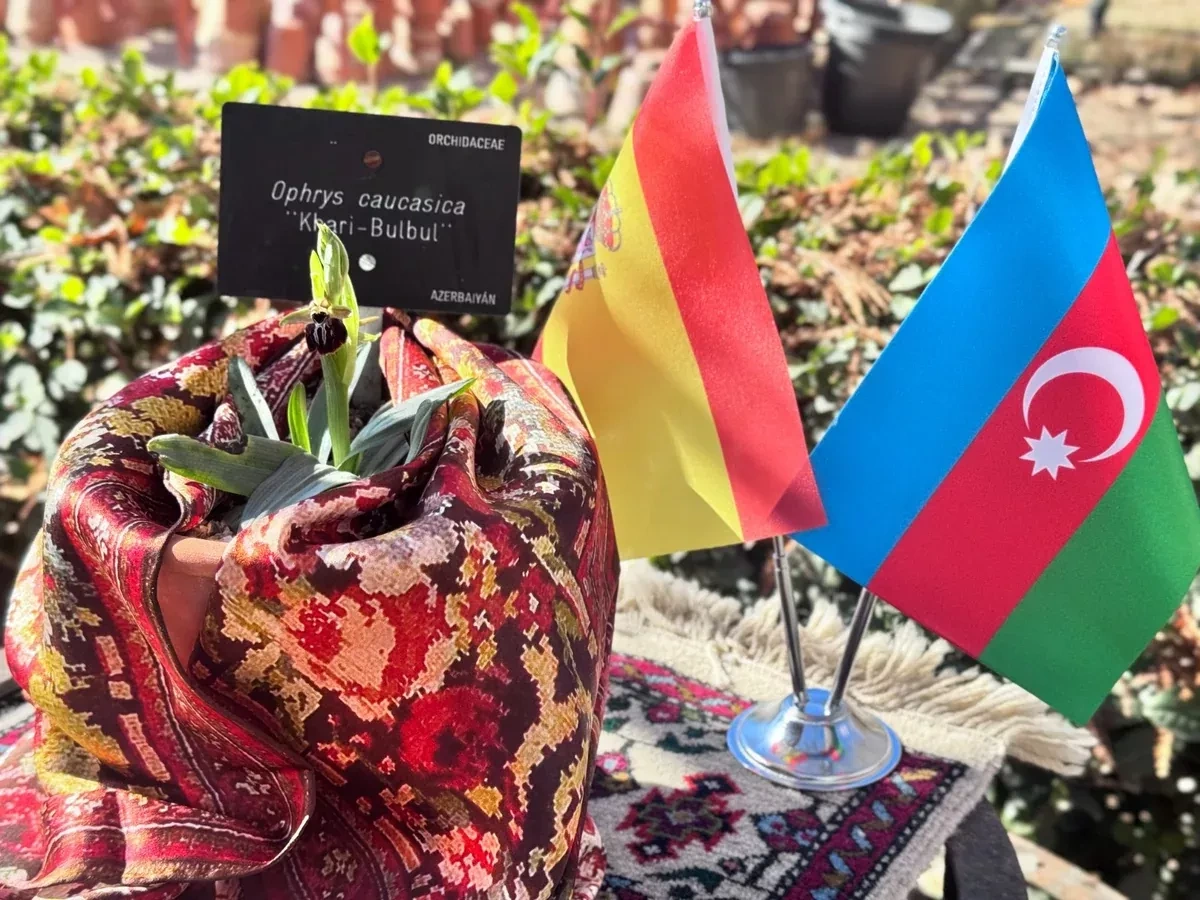 Azerbaijani Khari-Bulbul flower blooms at Madrid’s Royal Botanical Garden PHOTO