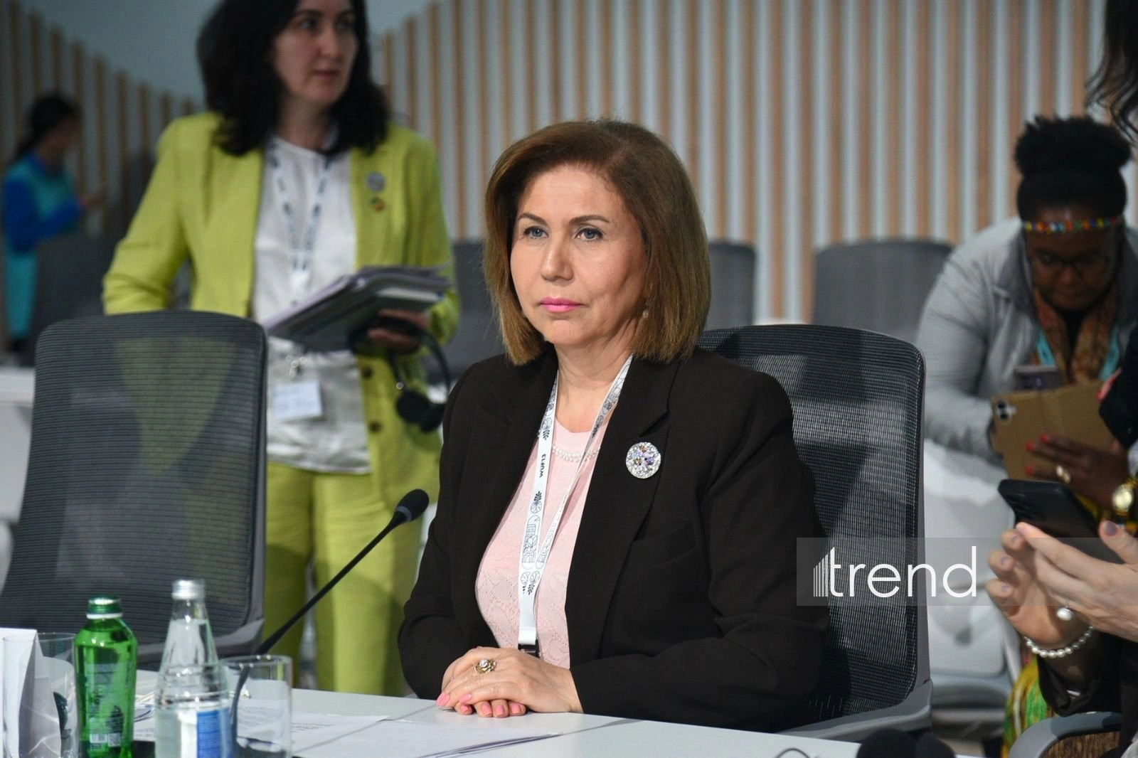 Azerbaijani official highlights housing as key pillar of social inclusion and safety