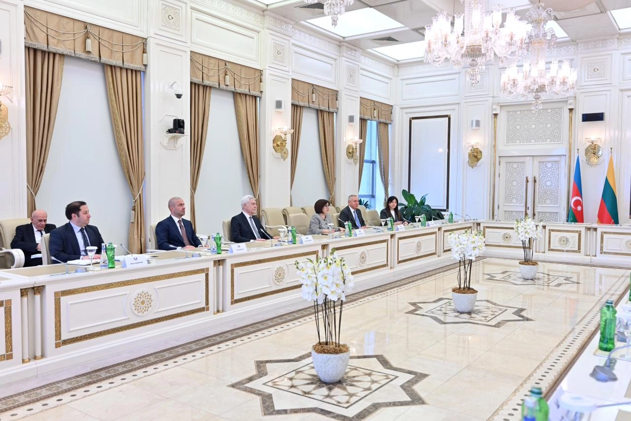 Azerbaijani and Lithuanian parliaments brainstorm enhancement of cooperation (PHOTO)