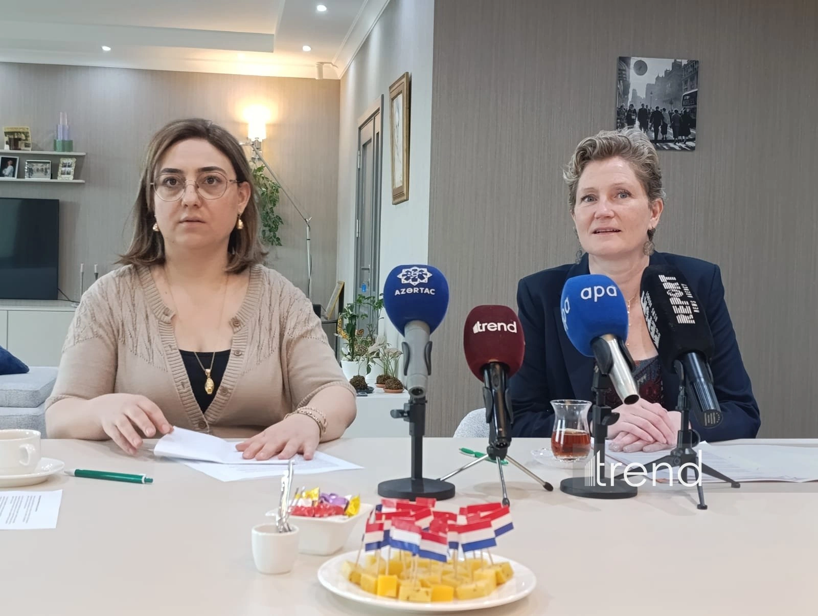 Netherlands sees strong potential for water sector co-op with Azerbaijan - ambassador