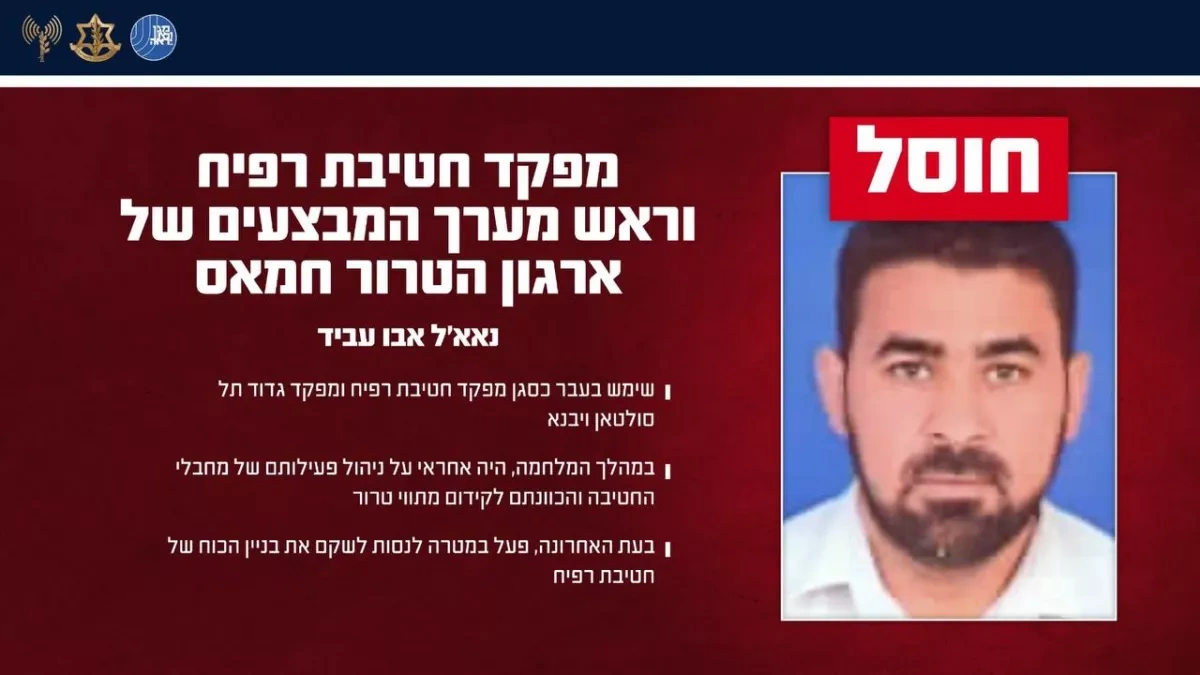 Israel says Hamas Rafah brigade commander killed in Gaza strike