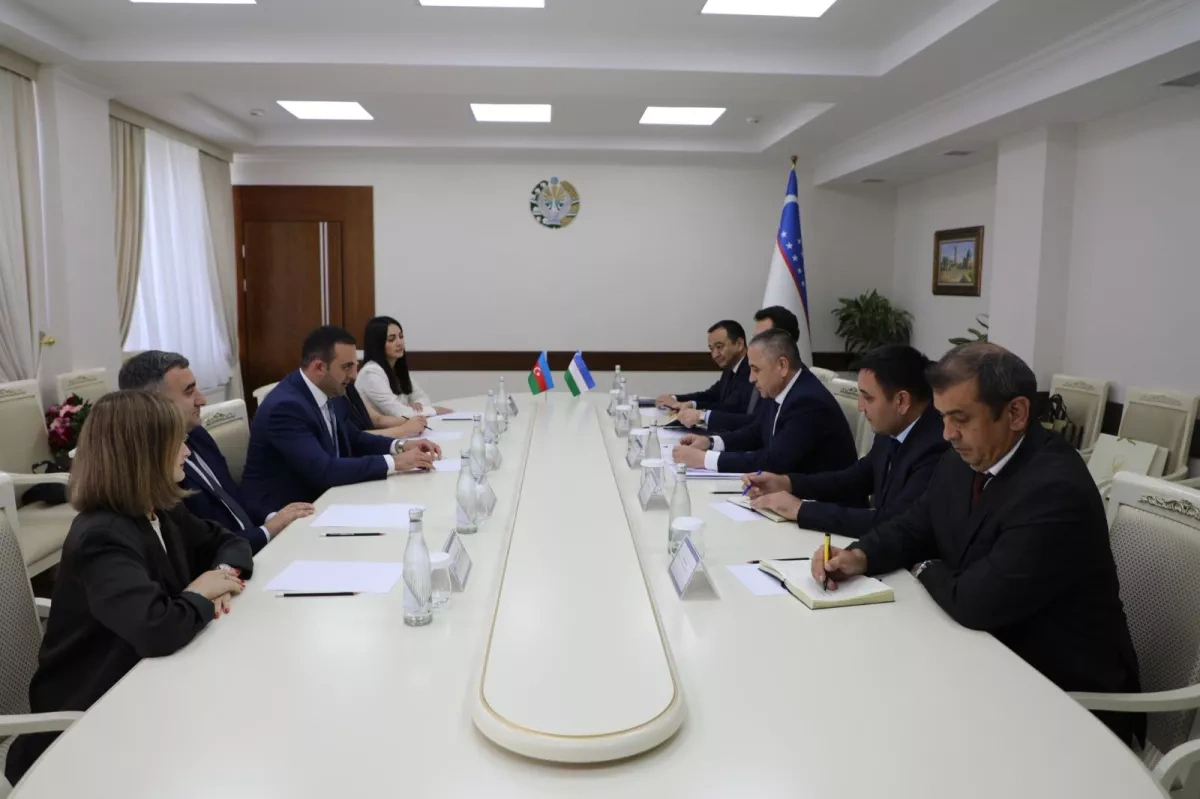 Azerbaijan, Uzbekistan discuss cooperation in digital auditing PHOTO