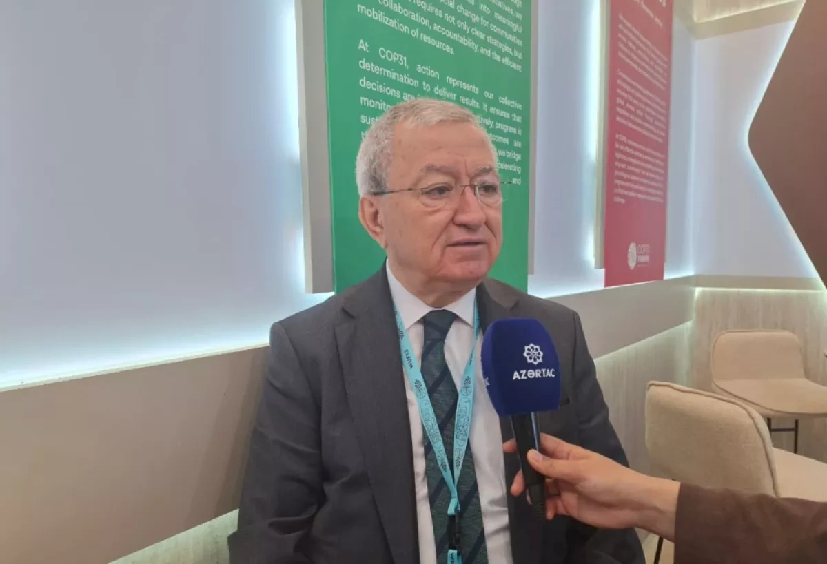 Expert: WUF13 key to future urban development policy