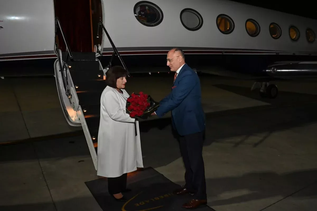 Azerbaijani parliamentary speaker begins official visit to South Africa PHOTO