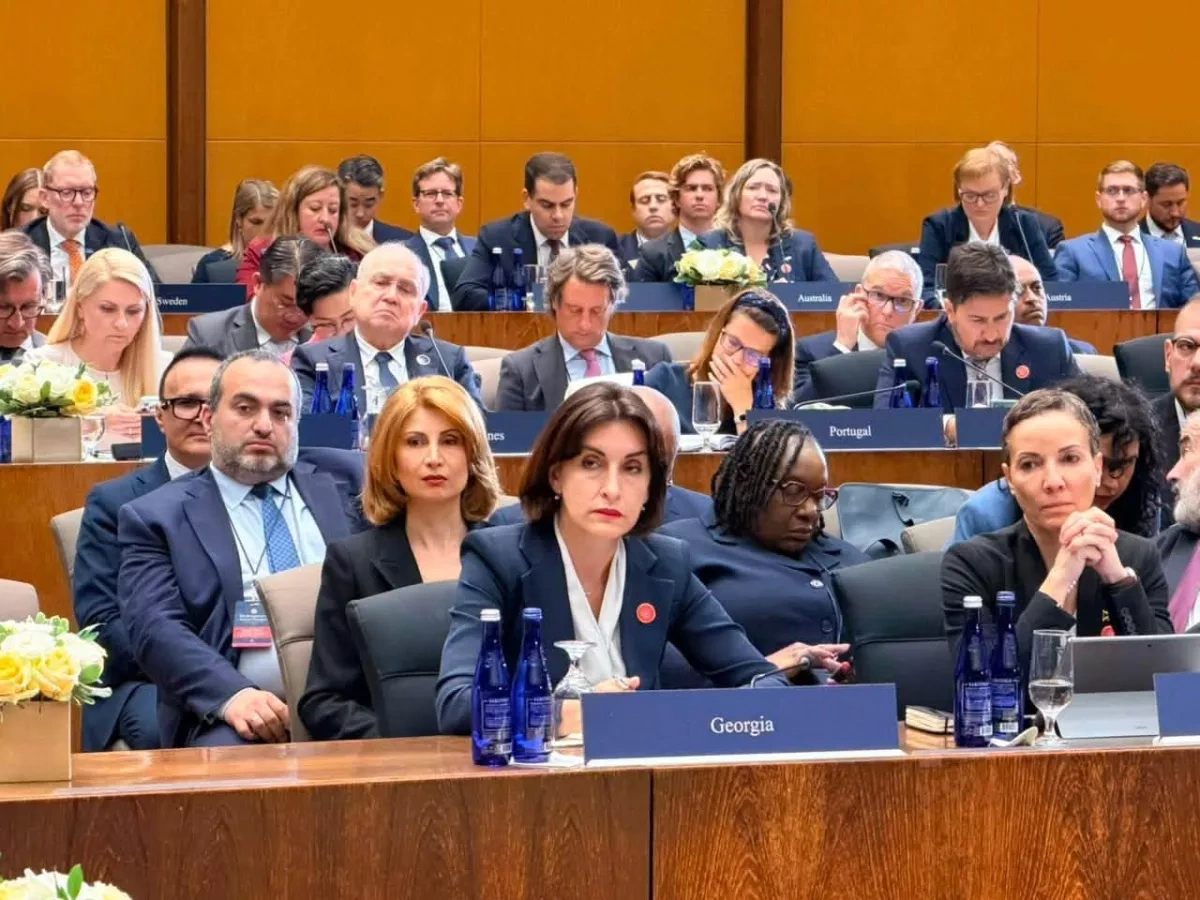 Georgian FM slams radical groups for weaponising international bodies