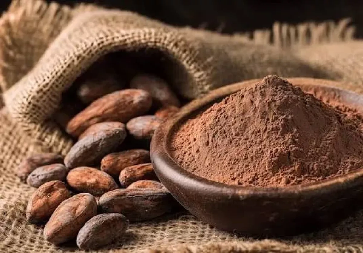Industry warns of cocoa price explosion as climate risks threaten global supply