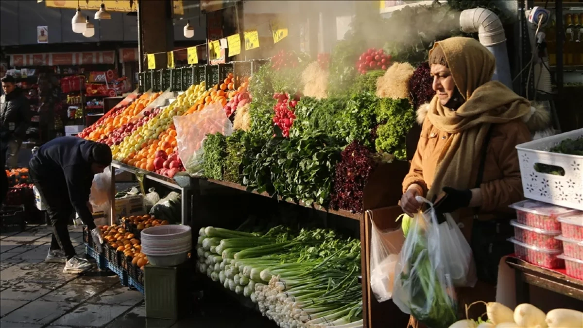 Russia says it fully meets food supply obligations to Iran