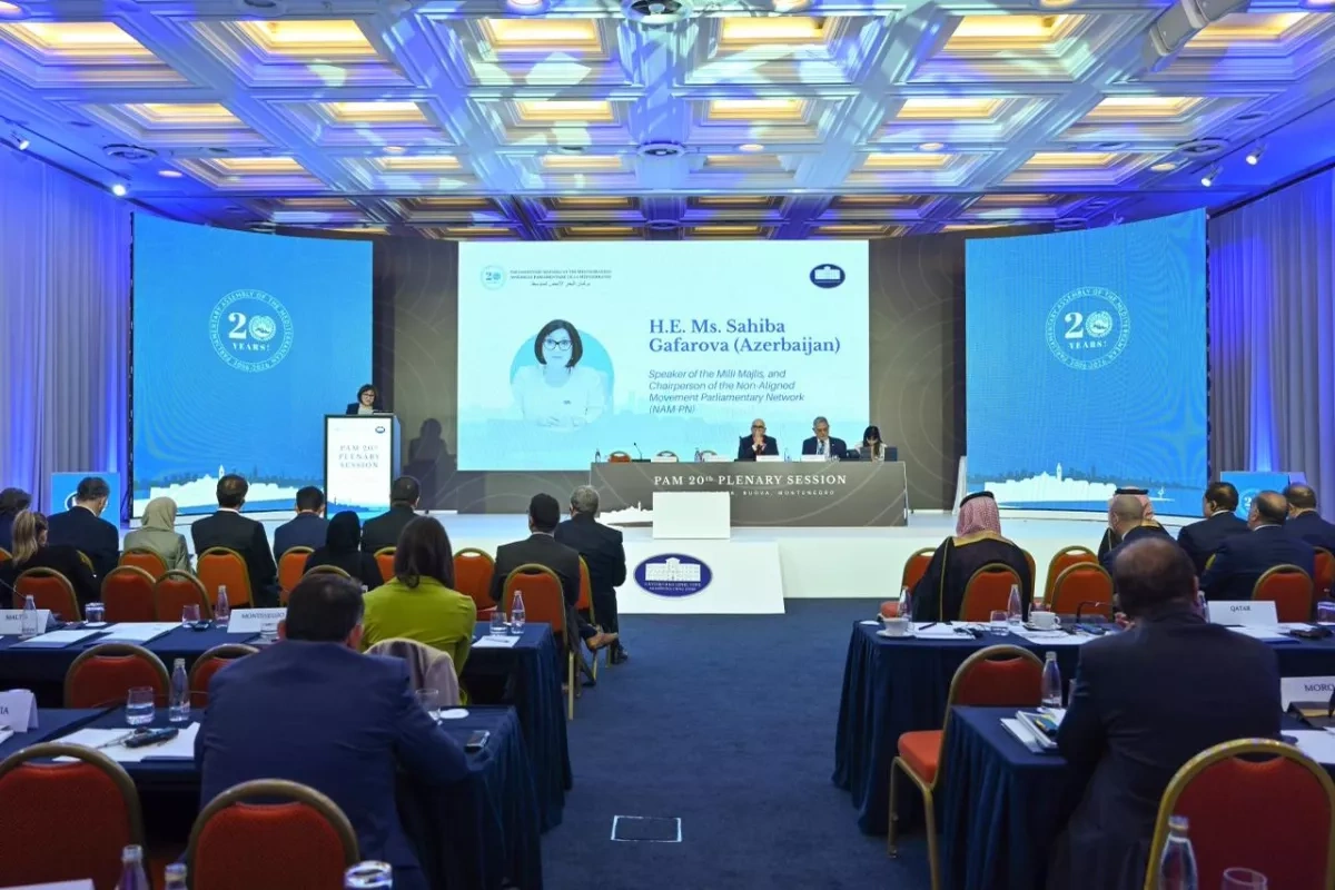 Azerbaijani chairwoman addresses summit of Parliamentary Assembly of Mediterranean PHOTO