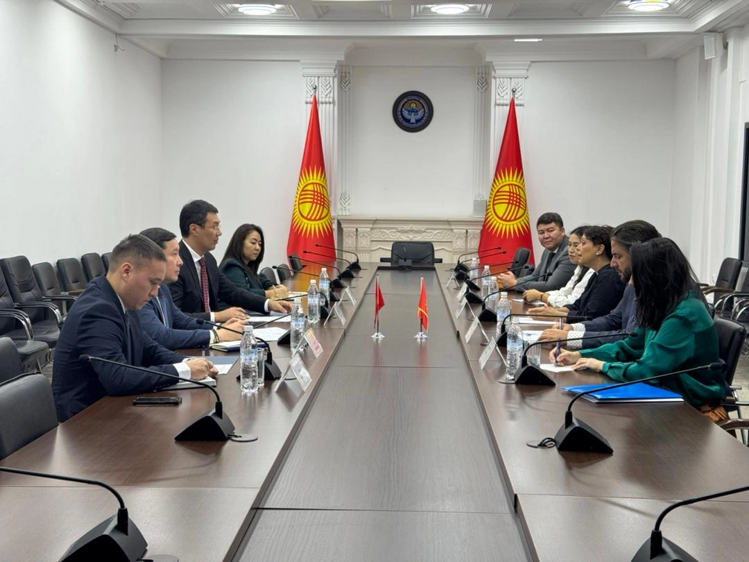 Kyrgyzstan, Montenegro seek to simplify mutual travel conditions