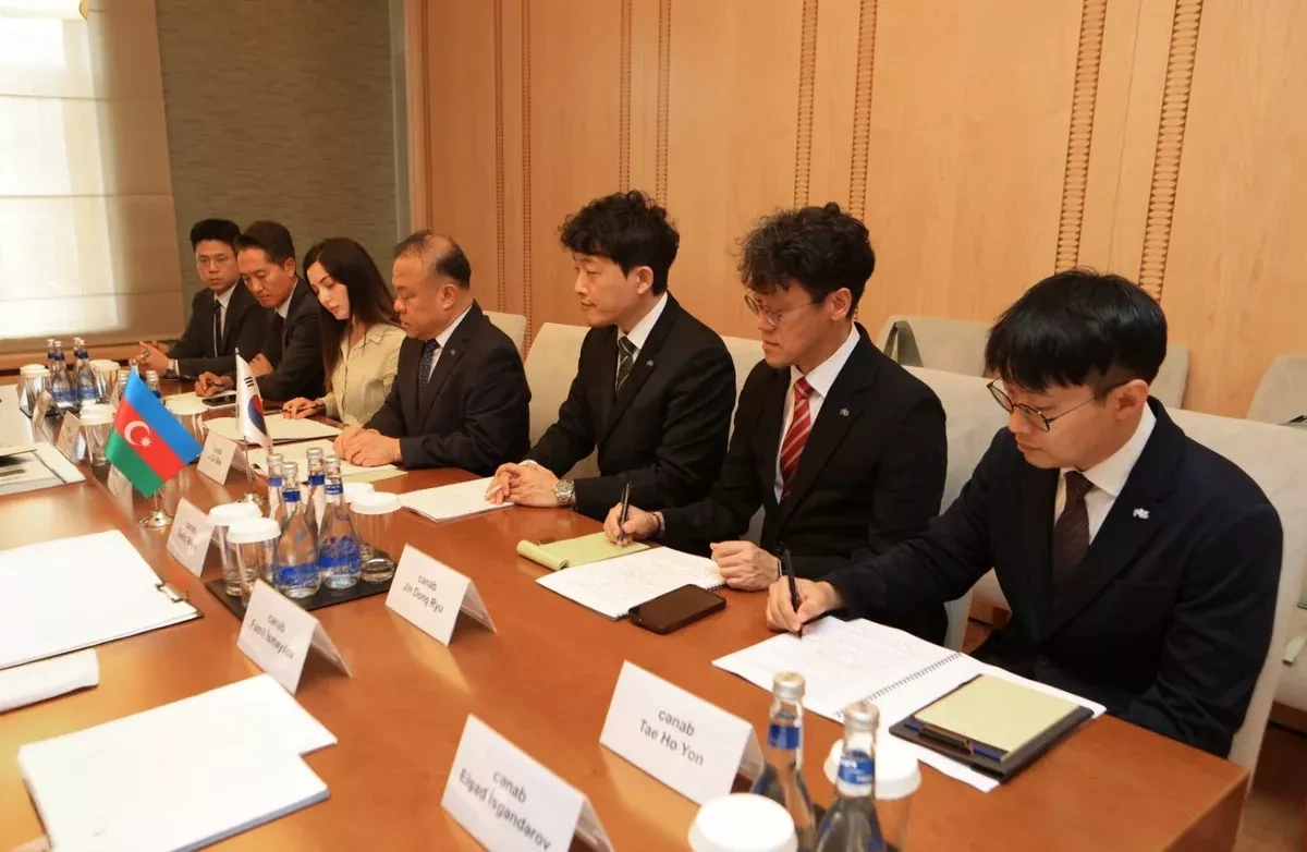 Azerbaijan, South Korea deepen cooperation on digital public finance PHOTO