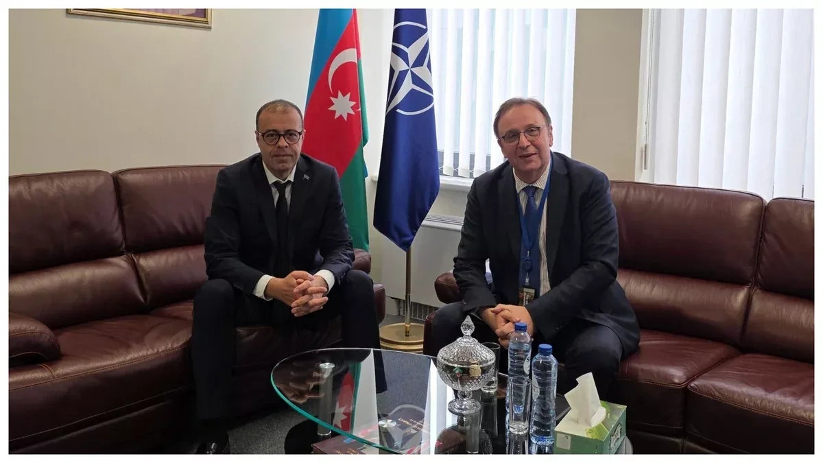 Azerbaijan, Serbia hold NATO talks on bilateral ties, regional security