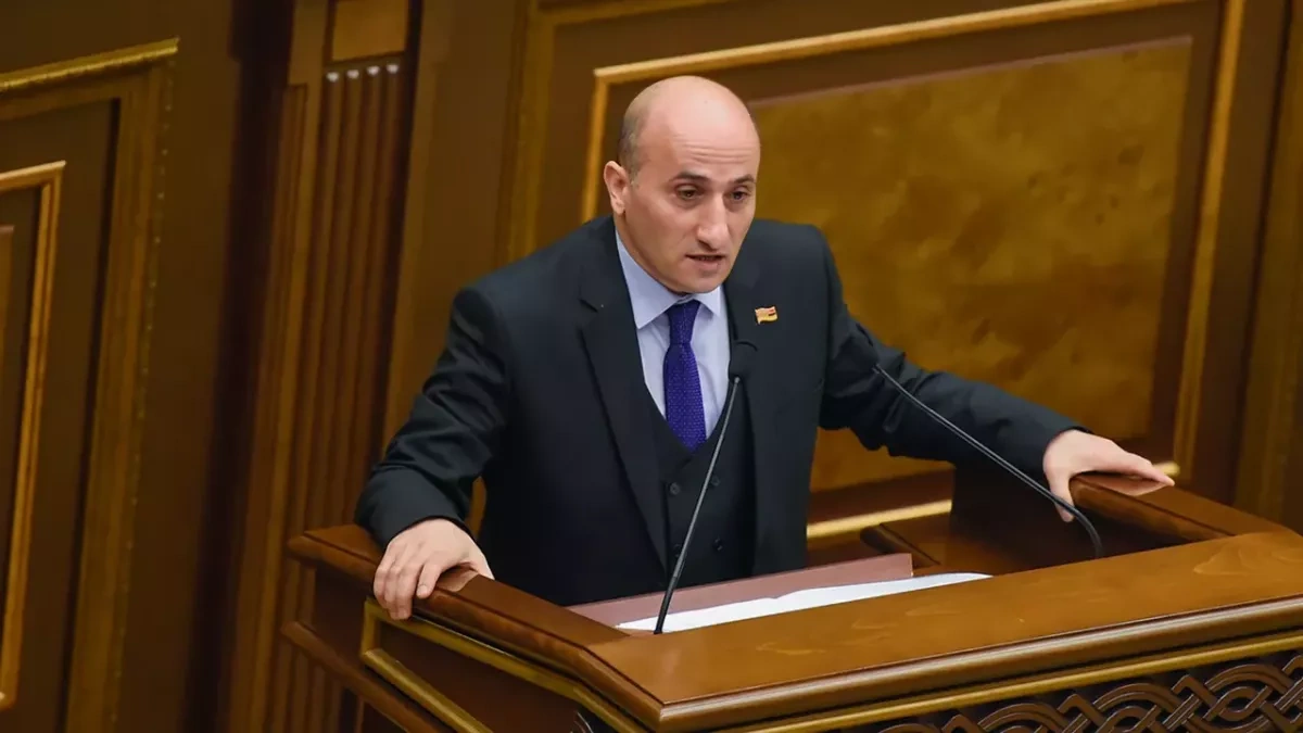 Armenia election chief warns observers against political campaigning