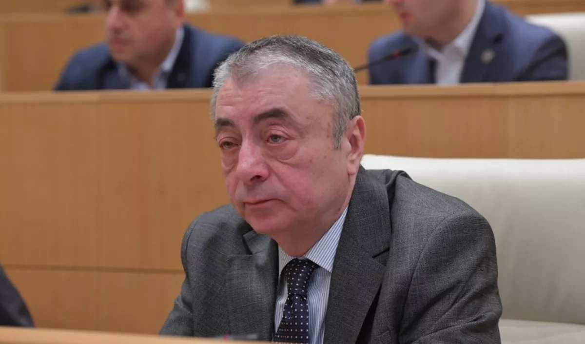 Georgian parliament welcomes US sanctions on European officials