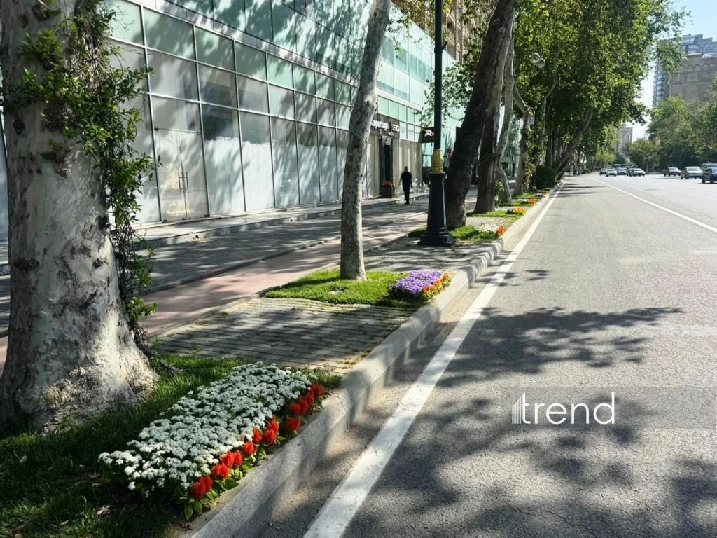 Azerbaijan's Baku blossoms with flowers ahead of WUF13 conference (PHOTO)