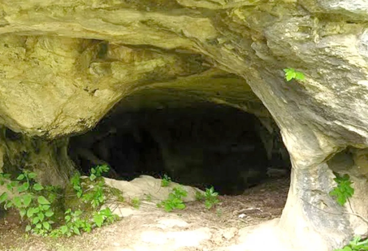 Ancient human remains found in Azerbaijan undergo international analysis
