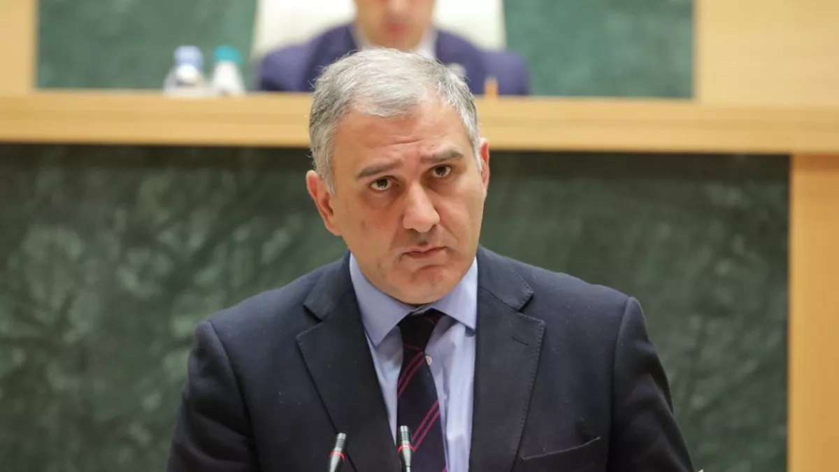 Georgian minister to face parliamentary questions on healthcare policy