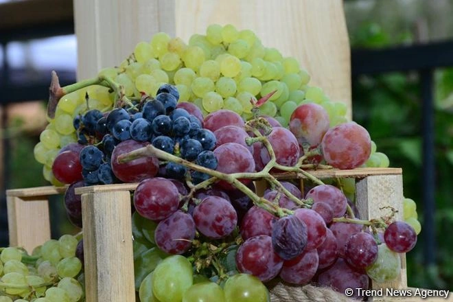 Azerbaijan revises subsidy procedure for agricultural production