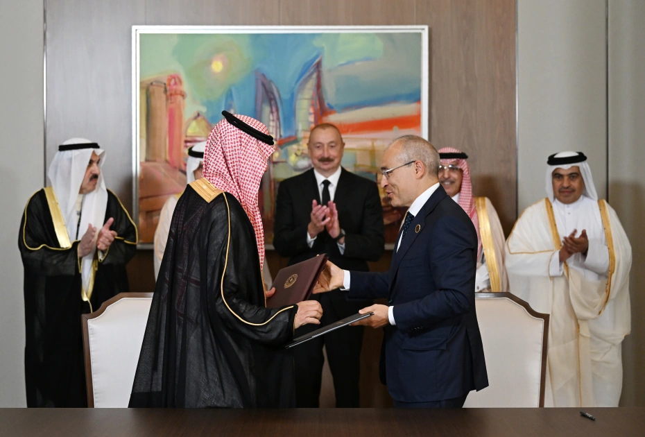 President Ilham Aliyev receives delegation of leaders of member organizations of Arab Coordination Group (PHOTO)