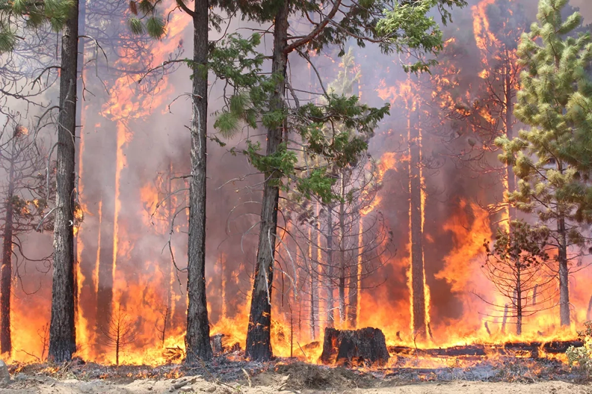 Spain declares national emergency as wildfires rage out of control