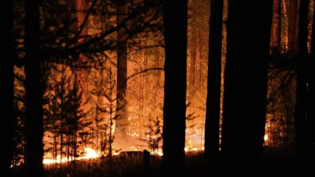 Canada’s wildfires could become among worst on record, expert warns