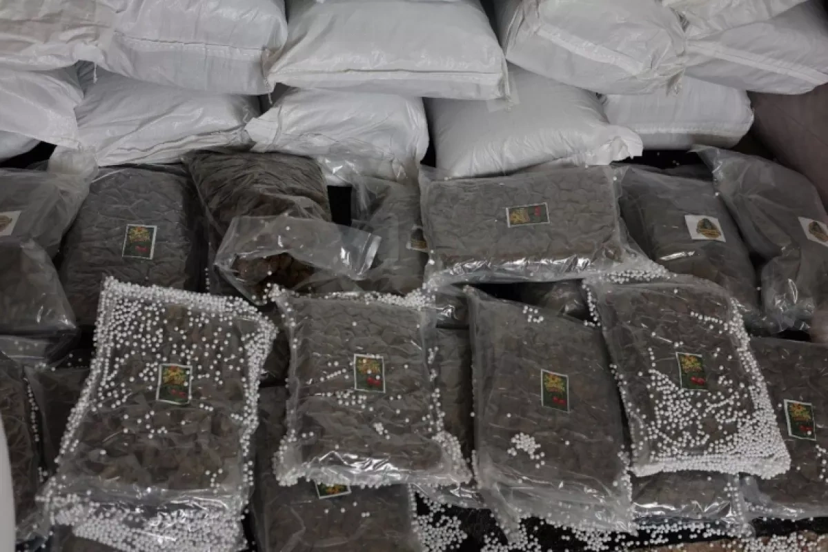 Türkiye, Syria strike blow to international drug trade network PHOTO
