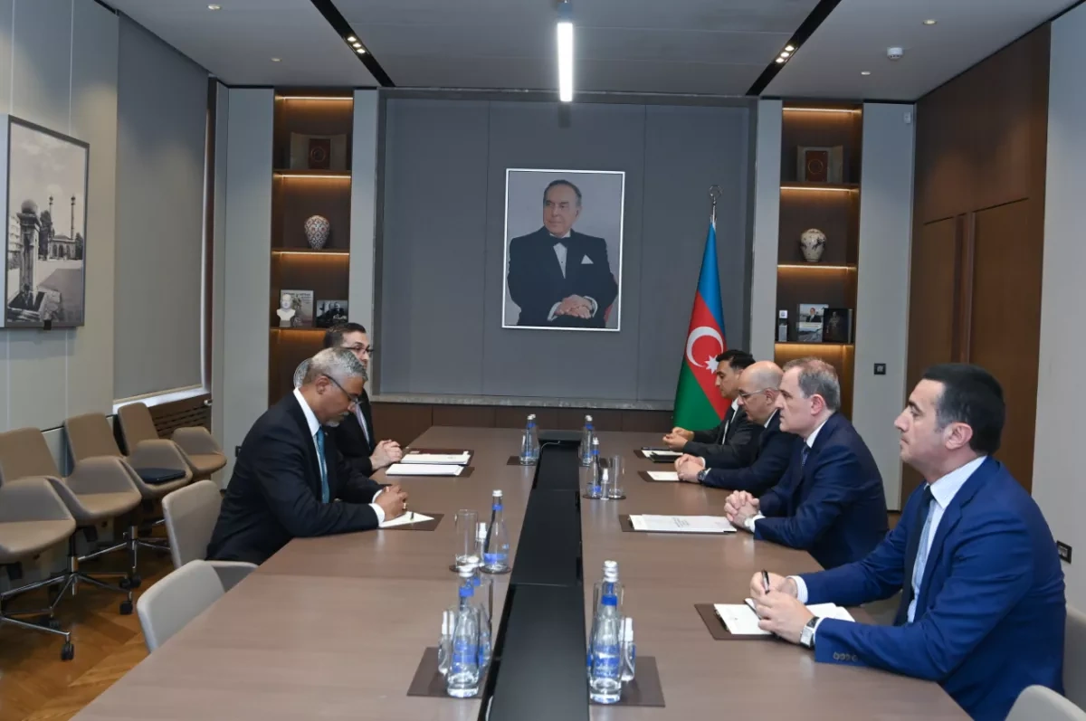 Azerbaijan prioritises effective partnership with WCO, says FM