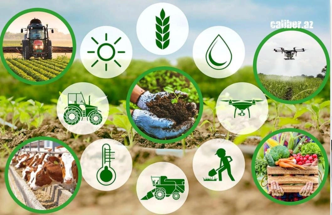 Azerbaijan’s agroparks: billion-dollar investments, but what’s the return? Caliber.Az review