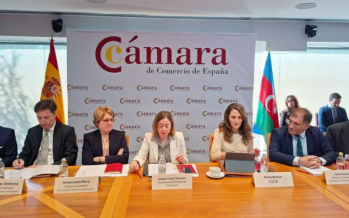 Baku, Madrid scale up strategic economic engagement PHOTO