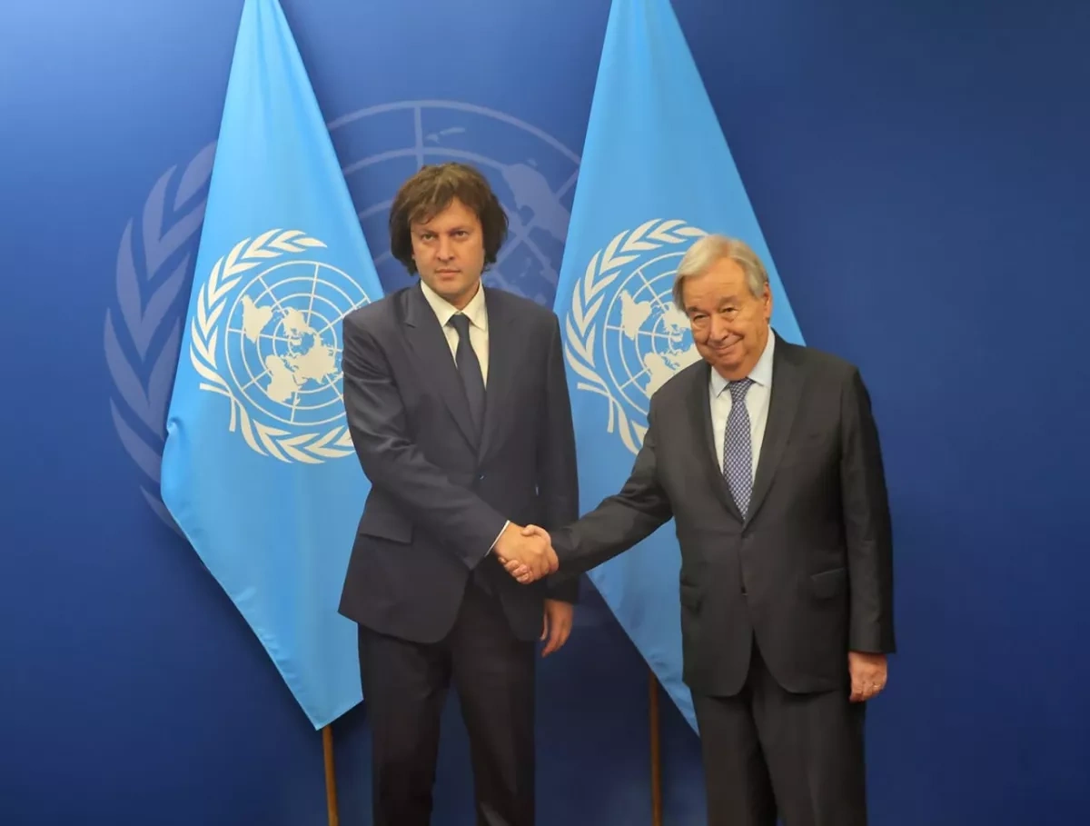 Georgian PM, UN chief discuss international security