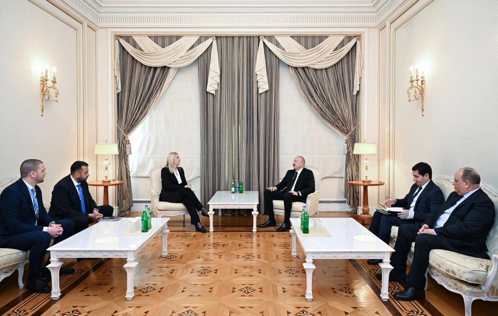 President Ilham Aliyev meets with Member of Presidency of Bosnia and Herzegovina (PHOTO)