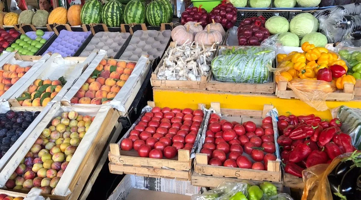 Demand for accountability Saatli hosts key talks on Azerbaijan’s agricultural future