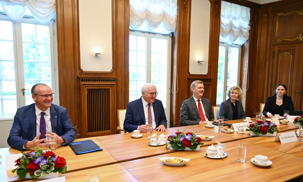 President Ilham Aliyev and German President Frank-Walter Steinmeier hold expanded meeting (PHOTO)