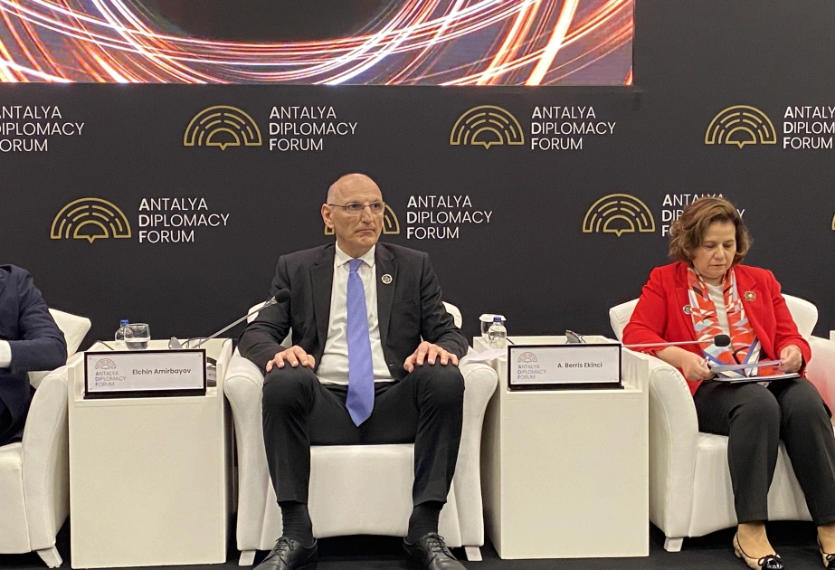 Azerbaijan’s geopolitical position highlights importance of diversifying exports - Elchin Amirbayov
