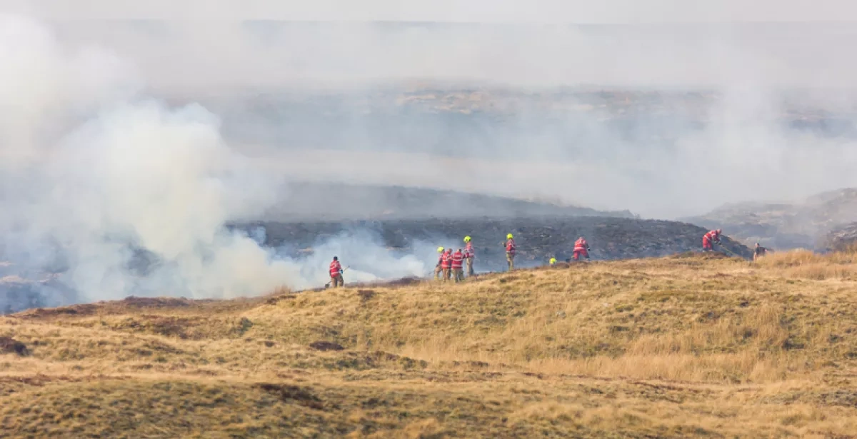Wildfires in Britain reach record levels as homes burn amid intense heat