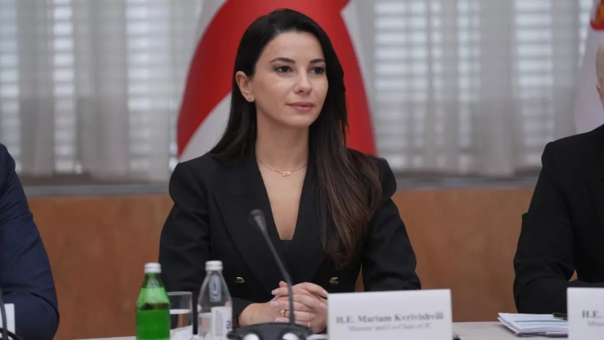Georgia looks to Azerbaijan for Anaklia port investment, minister says
