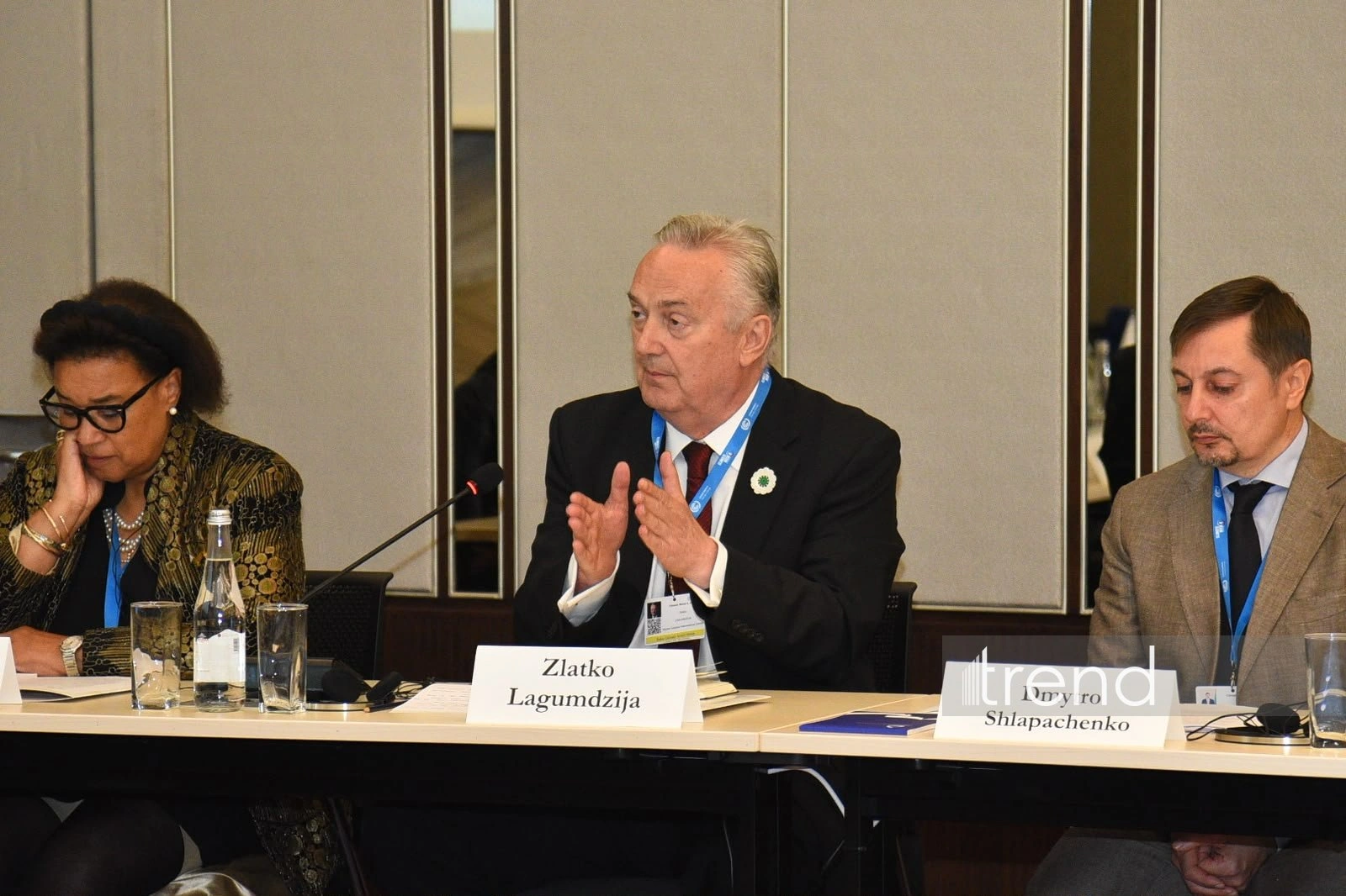 SDGs on food and cities show poorest results - Bosnia and Herzegovina official