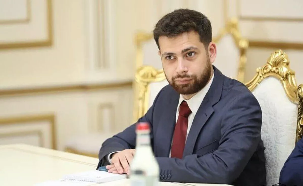 Armenian deputy FM meets Azerbaijani civil society representatives