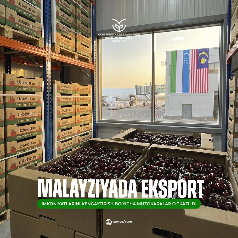 Uzbekistan, Malaysia discuss expanding fruit and vegetable exports