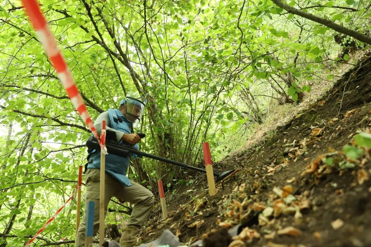ANAMA clears hundreds of hectares of mines, unexploded ordnance