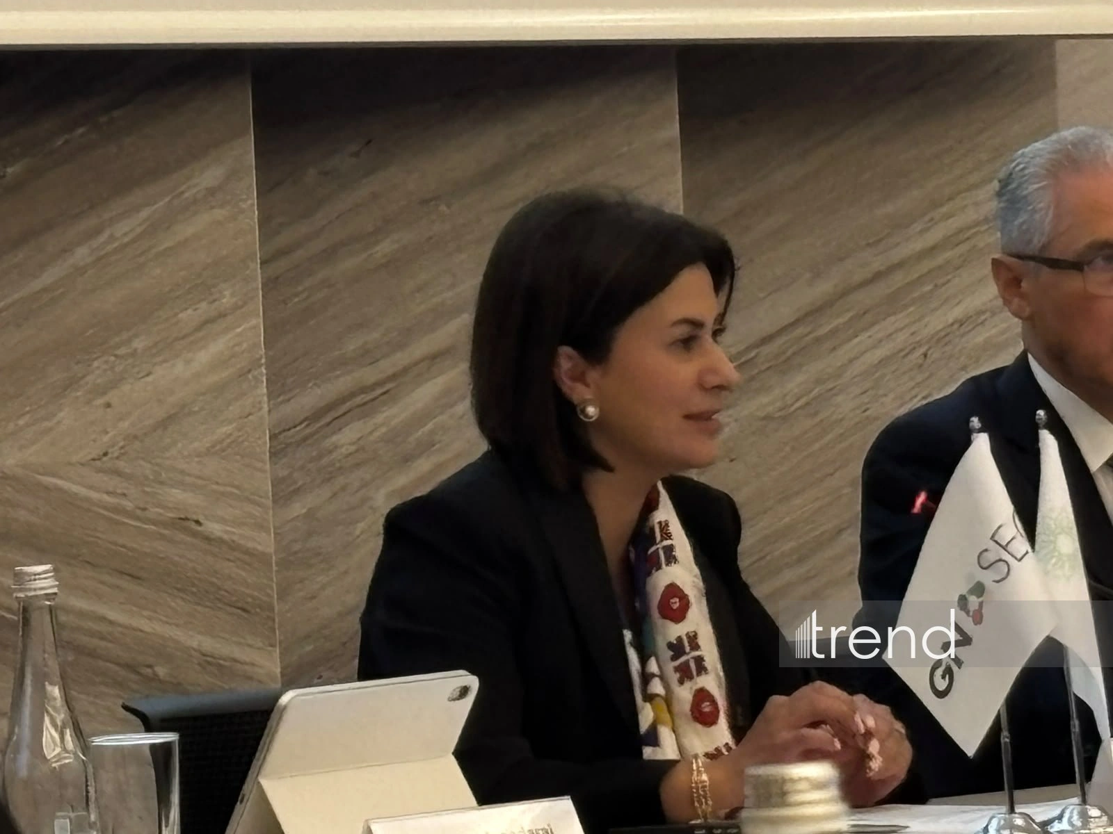 Regional cooperation contributes to interconnected “clean” energy systems — Aysel Yagubova