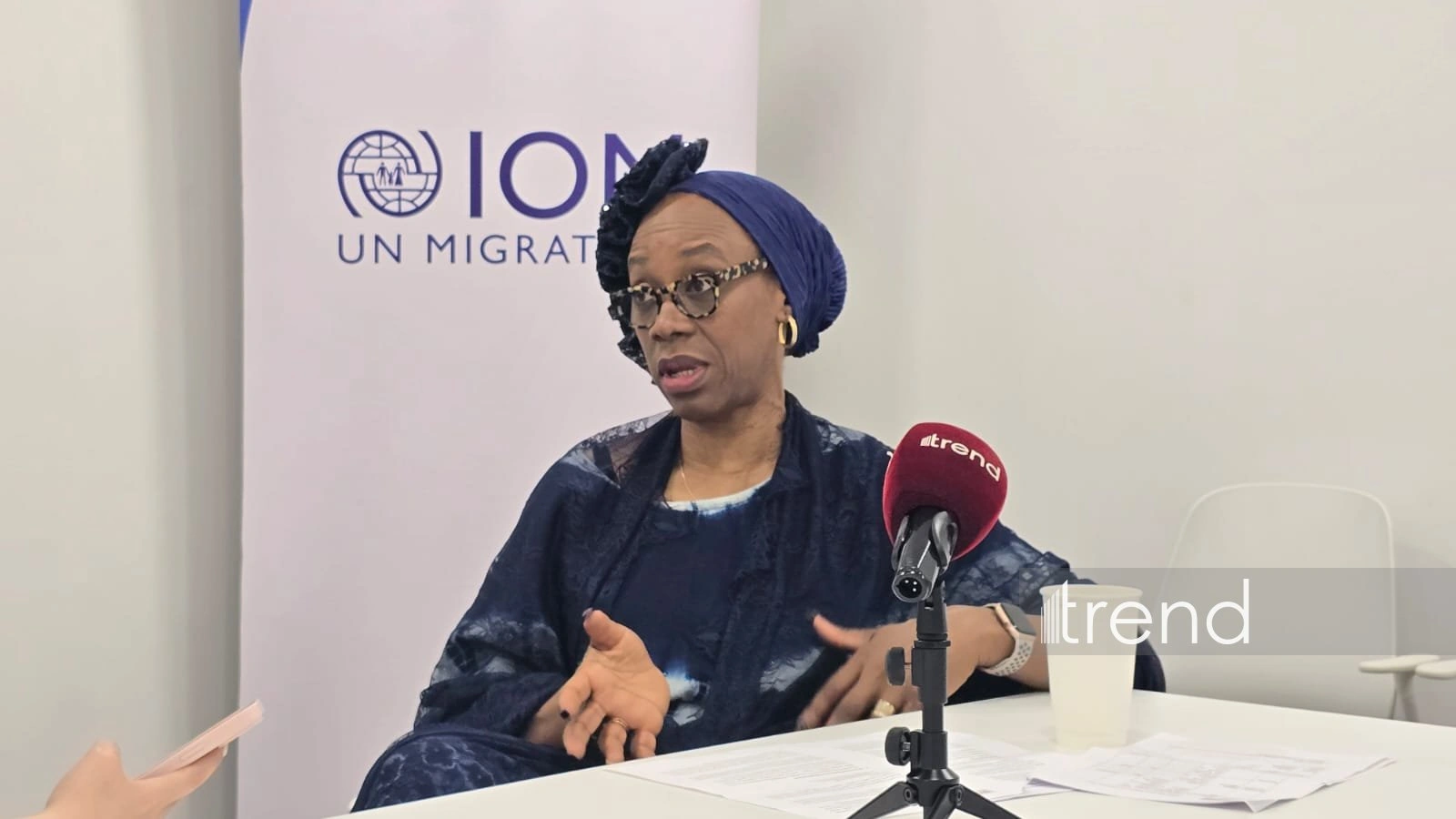 IOM working with Azerbaijan on linking housing with livelihoods - Deputy Director-General (Exclusive interview)