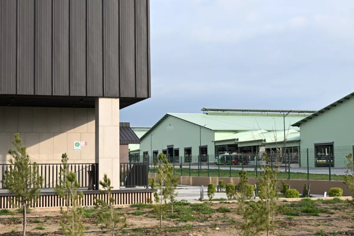 Azerbaijani president attends opening of “Shirvan Agro” livestock complex in Shamakhi PHOTO