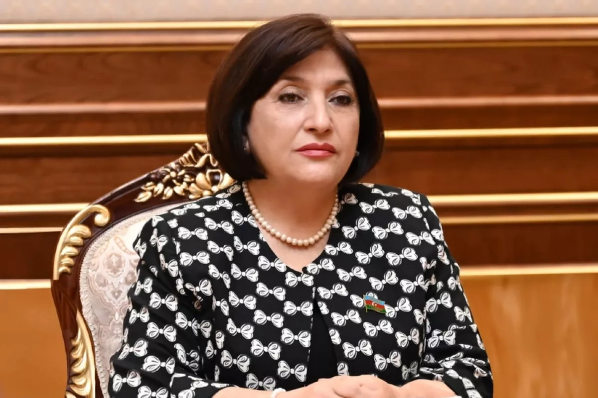 Azerbaijani speaker warns of firm response to European Parliament’s actions