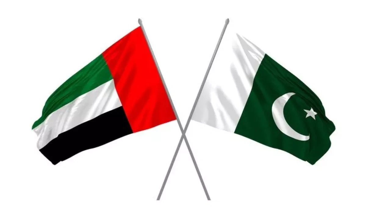 Economic shield and strategic depth Why Pakistan matters in Abu Dhabi’s new geopolitics