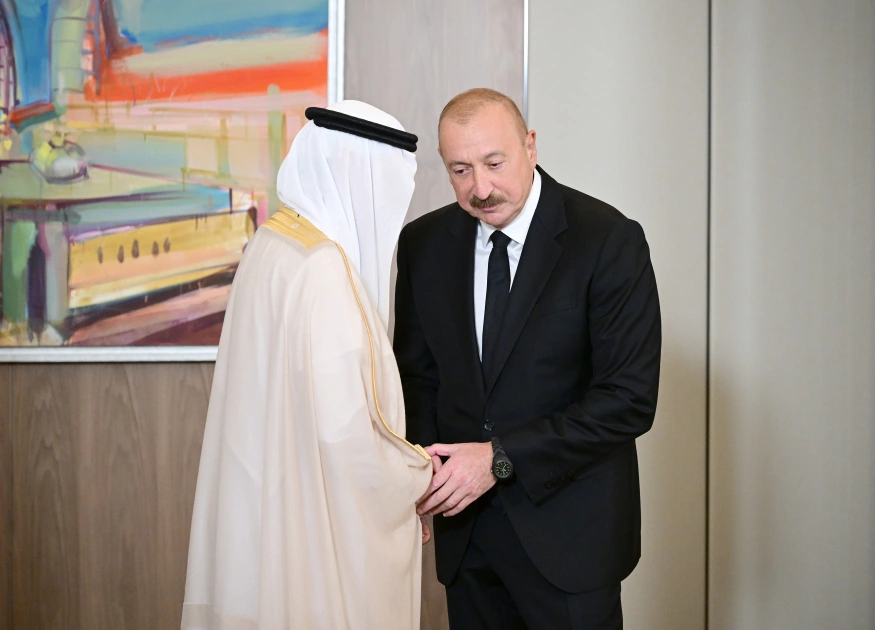President Ilham Aliyev receives delegation of leaders of member organizations of Arab Coordination Group (PHOTO)