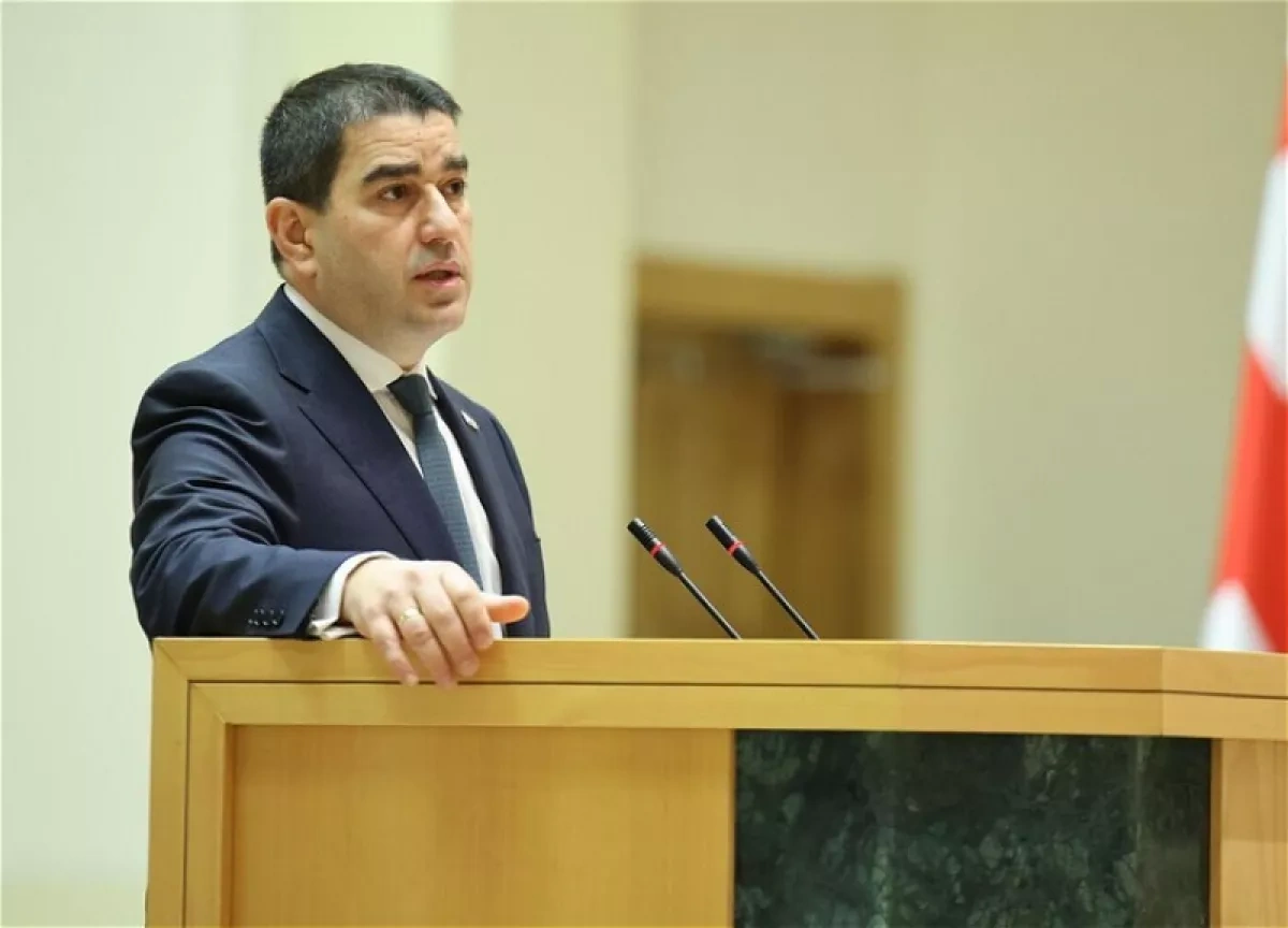 Georgia’s parliament speaker says pressure on public will has failed
