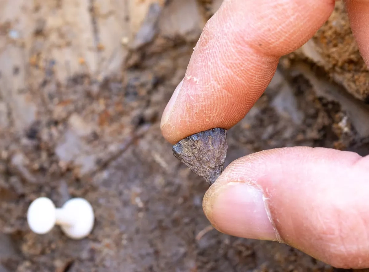 UK discovery pushes back evidence of human fire-making by 350,000 years