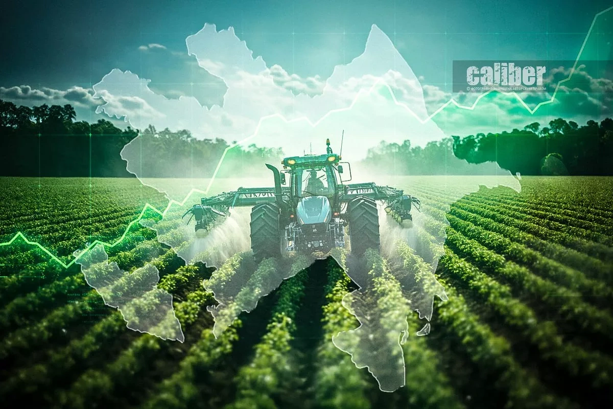 Betting on farmers who deliver Inside Azerbaijan’s Guba agriculture push
