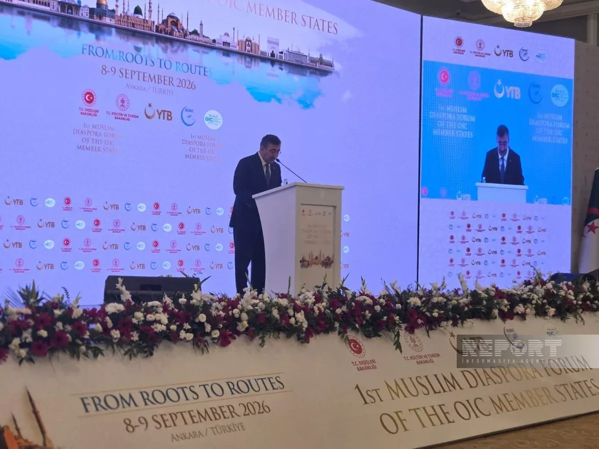 Azerbaijani president supports stronger ties with diaspora, official says PHOTO